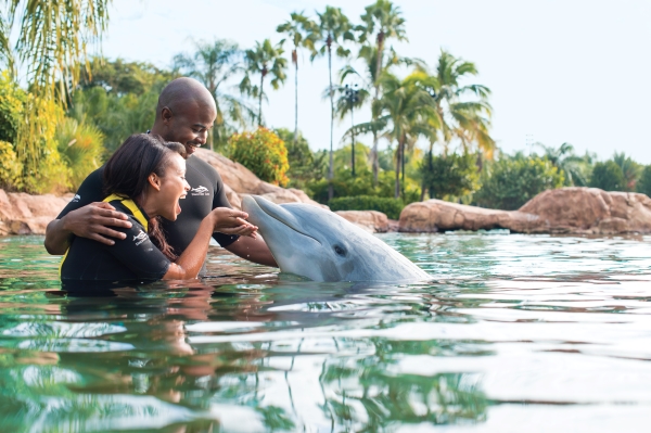 A man and a woman stand in waist-deep water smiling and interacting with a gray dolphin. 