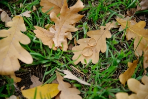 Fall Wedding rings on autumn leaves on the grass.