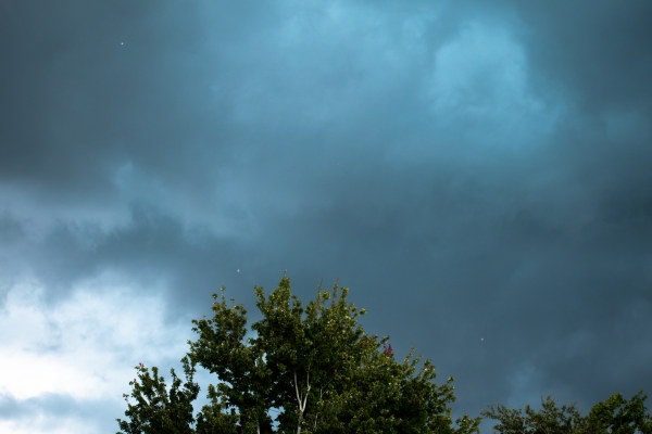 A stormy sky over treetops in Orlando, Florida.