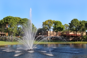 Fountain and lake pavilion at Rosen Inn Lake Buena Vista.