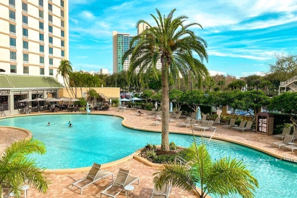 A curving pool and a towering palm tree on the pool deck at Rosen Plaza.