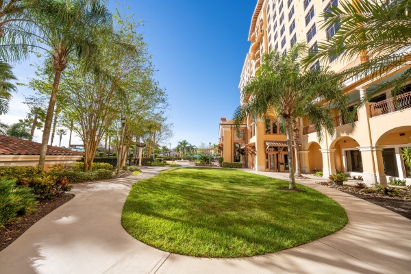 A small grassy area surrounded by a circle of pavement beside palm trees and a tall building.