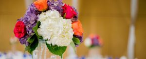 Bright white, orange, purple, and red flowers in vase